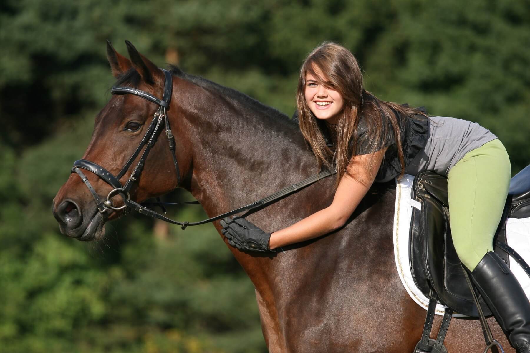 In diesem Blogbeitrag erfahren Sie, wie Sie die Hinterhand Ihres Pferdes aktivieren können.