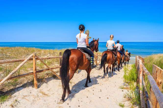 Reiturlaub in Niedersachsen soll attraktiver werden: Das fordern die Landtagsfraktionen von SPD und CDU in einem Antrag. Mehr Informationen erhalten Sie in diesem Magazinbeitrag.